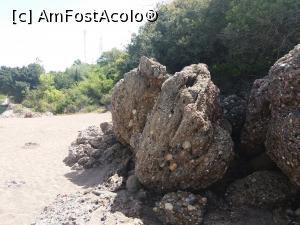 [P07] De aici incepe salbaticia » foto by docsimo
 - 
<span class="allrVoted glyphicon glyphicon-heart hidden" id="av860300"></span>
<a class="m-l-10 hidden" id="sv860300" onclick="voting_Foto_DelVot(,860300,18500)" role="button">șterge vot <span class="glyphicon glyphicon-remove"></span></a>
<a id="v9860300" class=" c-red"  onclick="voting_Foto_SetVot(860300)" role="button"><span class="glyphicon glyphicon-heart-empty"></span> <b>LIKE</b> = Votează poza</a> <img class="hidden"  id="f860300W9" src="/imagini/loader.gif" border="0" /><span class="AjErrMes hidden" id="e860300ErM"></span>