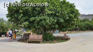 [P12] plaja-loc de așteptare tractor » foto by geosler
 - 
<span class="allrVoted glyphicon glyphicon-heart hidden" id="av797006"></span>
<a class="m-l-10 hidden" id="sv797006" onclick="voting_Foto_DelVot(,797006,18500)" role="button">șterge vot <span class="glyphicon glyphicon-remove"></span></a>
<a id="v9797006" class=" c-red"  onclick="voting_Foto_SetVot(797006)" role="button"><span class="glyphicon glyphicon-heart-empty"></span> <b>LIKE</b> = Votează poza</a> <img class="hidden"  id="f797006W9" src="/imagini/loader.gif" border="0" /><span class="AjErrMes hidden" id="e797006ErM"></span>