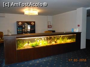 [P03] Hotel Diamond - Cinciș. Recepția și acvariul cu pești.  » foto by iulianic
 - 
<span class="allrVoted glyphicon glyphicon-heart hidden" id="av724487"></span>
<a class="m-l-10 hidden" id="sv724487" onclick="voting_Foto_DelVot(,724487,18505)" role="button">șterge vot <span class="glyphicon glyphicon-remove"></span></a>
<a id="v9724487" class=" c-red"  onclick="voting_Foto_SetVot(724487)" role="button"><span class="glyphicon glyphicon-heart-empty"></span> <b>LIKE</b> = Votează poza</a> <img class="hidden"  id="f724487W9" src="/imagini/loader.gif" border="0" /><span class="AjErrMes hidden" id="e724487ErM"></span>