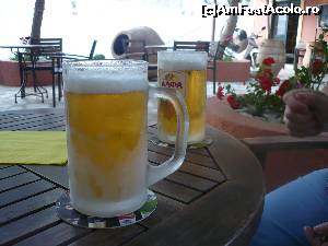 [P07] halbe inghetate, care merg bine dupa o zi de plaja » foto by danutapop
 - 
<span class="allrVoted glyphicon glyphicon-heart hidden" id="av621521"></span>
<a class="m-l-10 hidden" id="sv621521" onclick="voting_Foto_DelVot(,621521,18513)" role="button">șterge vot <span class="glyphicon glyphicon-remove"></span></a>
<a id="v9621521" class=" c-red"  onclick="voting_Foto_SetVot(621521)" role="button"><span class="glyphicon glyphicon-heart-empty"></span> <b>LIKE</b> = Votează poza</a> <img class="hidden"  id="f621521W9" src="/imagini/loader.gif" border="0" /><span class="AjErrMes hidden" id="e621521ErM"></span>