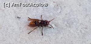 [P02]  -- <small>// FĂRĂ DESCRIERE</small> » foto by pretorian_29
 - 
<span class="allrVoted glyphicon glyphicon-heart hidden" id="av1056593"></span>
<a class="m-l-10 hidden" id="sv1056593" onclick="voting_Foto_DelVot(,1056593,18513)" role="button">șterge vot <span class="glyphicon glyphicon-remove"></span></a>
<a id="v91056593" class=" c-red"  onclick="voting_Foto_SetVot(1056593)" role="button"><span class="glyphicon glyphicon-heart-empty"></span> <b>LIKE</b> = Votează poza</a> <img class="hidden"  id="f1056593W9" src="/imagini/loader.gif" border="0" /><span class="AjErrMes hidden" id="e1056593ErM"></span>