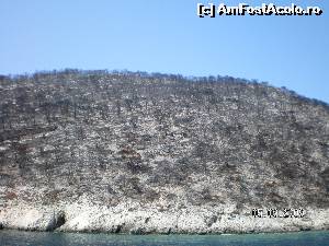 [P22] Padurile arse in incendiile din august 2009 dau impresia unor peisaje selenare » foto by irinad
 - 
<span class="allrVoted glyphicon glyphicon-heart hidden" id="av602134"></span>
<a class="m-l-10 hidden" id="sv602134" onclick="voting_Foto_DelVot(,602134,18547)" role="button">șterge vot <span class="glyphicon glyphicon-remove"></span></a>
<a id="v9602134" class=" c-red"  onclick="voting_Foto_SetVot(602134)" role="button"><span class="glyphicon glyphicon-heart-empty"></span> <b>LIKE</b> = Votează poza</a> <img class="hidden"  id="f602134W9" src="/imagini/loader.gif" border="0" /><span class="AjErrMes hidden" id="e602134ErM"></span>