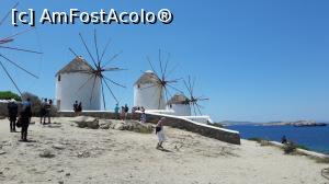 [P06] Morile din Mykonos » foto by dianamea
 - 
<span class="allrVoted glyphicon glyphicon-heart hidden" id="av763667"></span>
<a class="m-l-10 hidden" id="sv763667" onclick="voting_Foto_DelVot(,763667,18555)" role="button">șterge vot <span class="glyphicon glyphicon-remove"></span></a>
<a id="v9763667" class=" c-red"  onclick="voting_Foto_SetVot(763667)" role="button"><span class="glyphicon glyphicon-heart-empty"></span> <b>LIKE</b> = Votează poza</a> <img class="hidden"  id="f763667W9" src="/imagini/loader.gif" border="0" /><span class="AjErrMes hidden" id="e763667ErM"></span>
