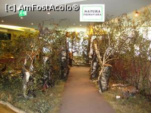 [P88] Diorama de mari dimensiuni ”Natura primăvara”.  » foto by Floryn81
 - 
<span class="allrVoted glyphicon glyphicon-heart hidden" id="av744475"></span>
<a class="m-l-10 hidden" id="sv744475" onclick="voting_Foto_DelVot(,744475,18556)" role="button">șterge vot <span class="glyphicon glyphicon-remove"></span></a>
<a id="v9744475" class=" c-red"  onclick="voting_Foto_SetVot(744475)" role="button"><span class="glyphicon glyphicon-heart-empty"></span> <b>LIKE</b> = Votează poza</a> <img class="hidden"  id="f744475W9" src="/imagini/loader.gif" border="0" /><span class="AjErrMes hidden" id="e744475ErM"></span>