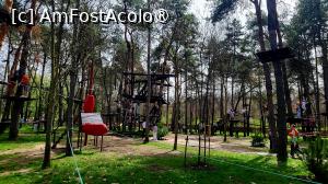 [P15] Omulați prin copaci » foto by k-lator
 - 
<span class="allrVoted glyphicon glyphicon-heart hidden" id="av1422010"></span>
<a class="m-l-10 hidden" id="sv1422010" onclick="voting_Foto_DelVot(,1422010,18559)" role="button">șterge vot <span class="glyphicon glyphicon-remove"></span></a>
<a id="v91422010" class=" c-red"  onclick="voting_Foto_SetVot(1422010)" role="button"><span class="glyphicon glyphicon-heart-empty"></span> <b>LIKE</b> = Votează poza</a> <img class="hidden"  id="f1422010W9" src="/imagini/loader.gif" border="0" /><span class="AjErrMes hidden" id="e1422010ErM"></span>