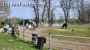 [P20] Primul țarc de echitație » foto by k-lator
 - 
<span class="allrVoted glyphicon glyphicon-heart hidden" id="av1422015"></span>
<a class="m-l-10 hidden" id="sv1422015" onclick="voting_Foto_DelVot(,1422015,18559)" role="button">șterge vot <span class="glyphicon glyphicon-remove"></span></a>
<a id="v91422015" class=" c-red"  onclick="voting_Foto_SetVot(1422015)" role="button"><span class="glyphicon glyphicon-heart-empty"></span> <b>LIKE</b> = Votează poza</a> <img class="hidden"  id="f1422015W9" src="/imagini/loader.gif" border="0" /><span class="AjErrMes hidden" id="e1422015ErM"></span>