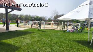 [P49] Doi cai frumoși » foto by k-lator
 - 
<span class="allrVoted glyphicon glyphicon-heart hidden" id="av1422044"></span>
<a class="m-l-10 hidden" id="sv1422044" onclick="voting_Foto_DelVot(,1422044,18559)" role="button">șterge vot <span class="glyphicon glyphicon-remove"></span></a>
<a id="v91422044" class=" c-red"  onclick="voting_Foto_SetVot(1422044)" role="button"><span class="glyphicon glyphicon-heart-empty"></span> <b>LIKE</b> = Votează poza</a> <img class="hidden"  id="f1422044W9" src="/imagini/loader.gif" border="0" /><span class="AjErrMes hidden" id="e1422044ErM"></span>
