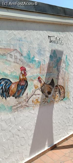 [P17] Pereți pictați. » foto by tata123 🔱
 - 
<span class="allrVoted glyphicon glyphicon-heart hidden" id="av1486893"></span>
<a class="m-l-10 hidden" id="sv1486893" onclick="voting_Foto_DelVot(,1486893,18559)" role="button">șterge vot <span class="glyphicon glyphicon-remove"></span></a>
<a id="v91486893" class=" c-red"  onclick="voting_Foto_SetVot(1486893)" role="button"><span class="glyphicon glyphicon-heart-empty"></span> <b>LIKE</b> = Votează poza</a> <img class="hidden"  id="f1486893W9" src="/imagini/loader.gif" border="0" /><span class="AjErrMes hidden" id="e1486893ErM"></span>