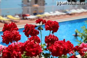 [P05] Roger de Flor Palace » foto by cami1212
 - 
<span class="allrVoted glyphicon glyphicon-heart hidden" id="av626181"></span>
<a class="m-l-10 hidden" id="sv626181" onclick="voting_Foto_DelVot(,626181,18575)" role="button">șterge vot <span class="glyphicon glyphicon-remove"></span></a>
<a id="v9626181" class=" c-red"  onclick="voting_Foto_SetVot(626181)" role="button"><span class="glyphicon glyphicon-heart-empty"></span> <b>LIKE</b> = Votează poza</a> <img class="hidden"  id="f626181W9" src="/imagini/loader.gif" border="0" /><span class="AjErrMes hidden" id="e626181ErM"></span>