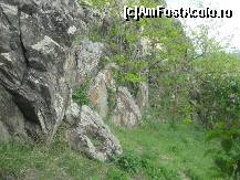 [P10] Aceste stanci de bazalt, adevarate contraforturi naturale, au facut ca situl dacic si apoi cetatea de deasupra lui, sa reziste mai mult de 7000 de ani » foto by dorgo
 - 
<span class="allrVoted glyphicon glyphicon-heart hidden" id="av202473"></span>
<a class="m-l-10 hidden" id="sv202473" onclick="voting_Foto_DelVot(,202473,18593)" role="button">șterge vot <span class="glyphicon glyphicon-remove"></span></a>
<a id="v9202473" class=" c-red"  onclick="voting_Foto_SetVot(202473)" role="button"><span class="glyphicon glyphicon-heart-empty"></span> <b>LIKE</b> = Votează poza</a> <img class="hidden"  id="f202473W9" src="/imagini/loader.gif" border="0" /><span class="AjErrMes hidden" id="e202473ErM"></span>