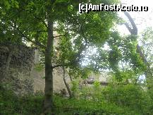 [P15] Din cand in cand, jungla vegetala se deschide si apar semne de civilizatie, schelele unui santier » foto by dorgo
 - 
<span class="allrVoted glyphicon glyphicon-heart hidden" id="av202478"></span>
<a class="m-l-10 hidden" id="sv202478" onclick="voting_Foto_DelVot(,202478,18593)" role="button">șterge vot <span class="glyphicon glyphicon-remove"></span></a>
<a id="v9202478" class=" c-red"  onclick="voting_Foto_SetVot(202478)" role="button"><span class="glyphicon glyphicon-heart-empty"></span> <b>LIKE</b> = Votează poza</a> <img class="hidden"  id="f202478W9" src="/imagini/loader.gif" border="0" /><span class="AjErrMes hidden" id="e202478ErM"></span>