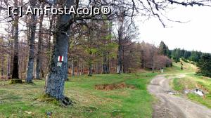 [P03] In Saua Jigoriei, printre paduri de fagi.  » foto by noi doi
 - 
<span class="allrVoted glyphicon glyphicon-heart hidden" id="av732627"></span>
<a class="m-l-10 hidden" id="sv732627" onclick="voting_Foto_DelVot(,732627,18595)" role="button">șterge vot <span class="glyphicon glyphicon-remove"></span></a>
<a id="v9732627" class=" c-red"  onclick="voting_Foto_SetVot(732627)" role="button"><span class="glyphicon glyphicon-heart-empty"></span> <b>LIKE</b> = Votează poza</a> <img class="hidden"  id="f732627W9" src="/imagini/loader.gif" border="0" /><span class="AjErrMes hidden" id="e732627ErM"></span>