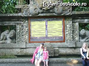 [P01] Monkey Forest » foto by tonyec
 - 
<span class="allrVoted glyphicon glyphicon-heart hidden" id="av698573"></span>
<a class="m-l-10 hidden" id="sv698573" onclick="voting_Foto_DelVot(,698573,18611)" role="button">șterge vot <span class="glyphicon glyphicon-remove"></span></a>
<a id="v9698573" class=" c-red"  onclick="voting_Foto_SetVot(698573)" role="button"><span class="glyphicon glyphicon-heart-empty"></span> <b>LIKE</b> = Votează poza</a> <img class="hidden"  id="f698573W9" src="/imagini/loader.gif" border="0" /><span class="AjErrMes hidden" id="e698573ErM"></span>
