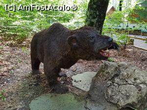 [P14] Ursus spelaeus, adică ursul de peșteră.  » foto by Floryn81
 - 
<span class="allrVoted glyphicon glyphicon-heart hidden" id="av1086806"></span>
<a class="m-l-10 hidden" id="sv1086806" onclick="voting_Foto_DelVot(,1086806,18612)" role="button">șterge vot <span class="glyphicon glyphicon-remove"></span></a>
<a id="v91086806" class=" c-red"  onclick="voting_Foto_SetVot(1086806)" role="button"><span class="glyphicon glyphicon-heart-empty"></span> <b>LIKE</b> = Votează poza</a> <img class="hidden"  id="f1086806W9" src="/imagini/loader.gif" border="0" /><span class="AjErrMes hidden" id="e1086806ErM"></span>
