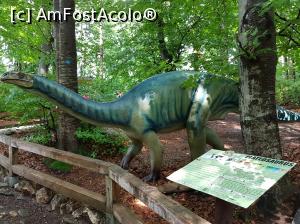 [P18] Am ajuns la plateosaurus.  » foto by Floryn81
 - 
<span class="allrVoted glyphicon glyphicon-heart hidden" id="av1086810"></span>
<a class="m-l-10 hidden" id="sv1086810" onclick="voting_Foto_DelVot(,1086810,18612)" role="button">șterge vot <span class="glyphicon glyphicon-remove"></span></a>
<a id="v91086810" class=" c-red"  onclick="voting_Foto_SetVot(1086810)" role="button"><span class="glyphicon glyphicon-heart-empty"></span> <b>LIKE</b> = Votează poza</a> <img class="hidden"  id="f1086810W9" src="/imagini/loader.gif" border="0" /><span class="AjErrMes hidden" id="e1086810ErM"></span>