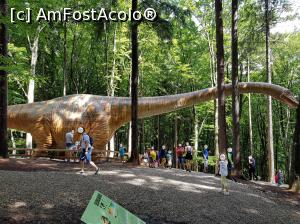 [P20] Seismosaurus, un dinozaur gigant.  » foto by Floryn81
 - 
<span class="allrVoted glyphicon glyphicon-heart hidden" id="av1086812"></span>
<a class="m-l-10 hidden" id="sv1086812" onclick="voting_Foto_DelVot(,1086812,18612)" role="button">șterge vot <span class="glyphicon glyphicon-remove"></span></a>
<a id="v91086812" class=" c-red"  onclick="voting_Foto_SetVot(1086812)" role="button"><span class="glyphicon glyphicon-heart-empty"></span> <b>LIKE</b> = Votează poza</a> <img class="hidden"  id="f1086812W9" src="/imagini/loader.gif" border="0" /><span class="AjErrMes hidden" id="e1086812ErM"></span>