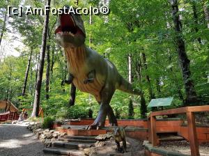 [P36] Acesta este șeful, respectiv tyrannosaurus.  » foto by Floryn81
 - 
<span class="allrVoted glyphicon glyphicon-heart hidden" id="av1086828"></span>
<a class="m-l-10 hidden" id="sv1086828" onclick="voting_Foto_DelVot(,1086828,18612)" role="button">șterge vot <span class="glyphicon glyphicon-remove"></span></a>
<a id="v91086828" class=" c-red"  onclick="voting_Foto_SetVot(1086828)" role="button"><span class="glyphicon glyphicon-heart-empty"></span> <b>LIKE</b> = Votează poza</a> <img class="hidden"  id="f1086828W9" src="/imagini/loader.gif" border="0" /><span class="AjErrMes hidden" id="e1086828ErM"></span>