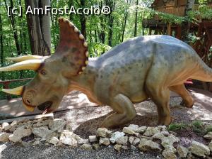 [P37] În apropiere este triceratops.  » foto by Floryn81
 - 
<span class="allrVoted glyphicon glyphicon-heart hidden" id="av1086829"></span>
<a class="m-l-10 hidden" id="sv1086829" onclick="voting_Foto_DelVot(,1086829,18612)" role="button">șterge vot <span class="glyphicon glyphicon-remove"></span></a>
<a id="v91086829" class=" c-red"  onclick="voting_Foto_SetVot(1086829)" role="button"><span class="glyphicon glyphicon-heart-empty"></span> <b>LIKE</b> = Votează poza</a> <img class="hidden"  id="f1086829W9" src="/imagini/loader.gif" border="0" /><span class="AjErrMes hidden" id="e1086829ErM"></span>