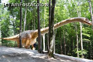 [P24] Seismosaurus de 30 metri » foto by AZE
 - 
<span class="allrVoted glyphicon glyphicon-heart hidden" id="av1101584"></span>
<a class="m-l-10 hidden" id="sv1101584" onclick="voting_Foto_DelVot(,1101584,18612)" role="button">șterge vot <span class="glyphicon glyphicon-remove"></span></a>
<a id="v91101584" class=" c-red"  onclick="voting_Foto_SetVot(1101584)" role="button"><span class="glyphicon glyphicon-heart-empty"></span> <b>LIKE</b> = Votează poza</a> <img class="hidden"  id="f1101584W9" src="/imagini/loader.gif" border="0" /><span class="AjErrMes hidden" id="e1101584ErM"></span>