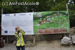 [P01] Dino Parc din Rasnov.  » foto by Diaura*
 - 
<span class="allrVoted glyphicon glyphicon-heart hidden" id="av1059175"></span>
<a class="m-l-10 hidden" id="sv1059175" onclick="voting_Foto_DelVot(,1059175,18612)" role="button">șterge vot <span class="glyphicon glyphicon-remove"></span></a>
<a id="v91059175" class=" c-red"  onclick="voting_Foto_SetVot(1059175)" role="button"><span class="glyphicon glyphicon-heart-empty"></span> <b>LIKE</b> = Votează poza</a> <img class="hidden"  id="f1059175W9" src="/imagini/loader.gif" border="0" /><span class="AjErrMes hidden" id="e1059175ErM"></span>