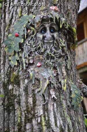 [P04] Spiridusul padurii la Dino Parc din Rasnov.  » foto by Diaura*
 - 
<span class="allrVoted glyphicon glyphicon-heart hidden" id="av1059178"></span>
<a class="m-l-10 hidden" id="sv1059178" onclick="voting_Foto_DelVot(,1059178,18612)" role="button">șterge vot <span class="glyphicon glyphicon-remove"></span></a>
<a id="v91059178" class=" c-red"  onclick="voting_Foto_SetVot(1059178)" role="button"><span class="glyphicon glyphicon-heart-empty"></span> <b>LIKE</b> = Votează poza</a> <img class="hidden"  id="f1059178W9" src="/imagini/loader.gif" border="0" /><span class="AjErrMes hidden" id="e1059178ErM"></span>