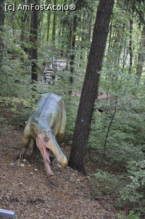 [P06] La Dino Parc din Rasnov.  » foto by Diaura*
 - 
<span class="allrVoted glyphicon glyphicon-heart hidden" id="av1059180"></span>
<a class="m-l-10 hidden" id="sv1059180" onclick="voting_Foto_DelVot(,1059180,18612)" role="button">șterge vot <span class="glyphicon glyphicon-remove"></span></a>
<a id="v91059180" class=" c-red"  onclick="voting_Foto_SetVot(1059180)" role="button"><span class="glyphicon glyphicon-heart-empty"></span> <b>LIKE</b> = Votează poza</a> <img class="hidden"  id="f1059180W9" src="/imagini/loader.gif" border="0" /><span class="AjErrMes hidden" id="e1059180ErM"></span>