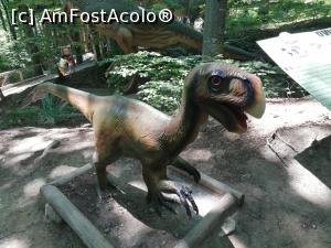 [P55] <i>Dino Parc Râșnov</i> » foto by ⭐ValentinB_88⭐
 - 
<span class="allrVoted glyphicon glyphicon-heart hidden" id="av1236098"></span>
<a class="m-l-10 hidden" id="sv1236098" onclick="voting_Foto_DelVot(,1236098,18612)" role="button">șterge vot <span class="glyphicon glyphicon-remove"></span></a>
<a id="v91236098" class=" c-red"  onclick="voting_Foto_SetVot(1236098)" role="button"><span class="glyphicon glyphicon-heart-empty"></span> <b>LIKE</b> = Votează poza</a> <img class="hidden"  id="f1236098W9" src="/imagini/loader.gif" border="0" /><span class="AjErrMes hidden" id="e1236098ErM"></span>