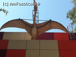[P57] <i>Dino Parc Râșnov</i> » foto by ⭐ValentinB_88⭐
 - 
<span class="allrVoted glyphicon glyphicon-heart hidden" id="av1236100"></span>
<a class="m-l-10 hidden" id="sv1236100" onclick="voting_Foto_DelVot(,1236100,18612)" role="button">șterge vot <span class="glyphicon glyphicon-remove"></span></a>
<a id="v91236100" class=" c-red"  onclick="voting_Foto_SetVot(1236100)" role="button"><span class="glyphicon glyphicon-heart-empty"></span> <b>LIKE</b> = Votează poza</a> <img class="hidden"  id="f1236100W9" src="/imagini/loader.gif" border="0" /><span class="AjErrMes hidden" id="e1236100ErM"></span>