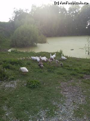[P18] Langa Templul Zeitei Artemis » foto by teodor11
 - 
<span class="allrVoted glyphicon glyphicon-heart hidden" id="av629822"></span>
<a class="m-l-10 hidden" id="sv629822" onclick="voting_Foto_DelVot(,629822,18629)" role="button">șterge vot <span class="glyphicon glyphicon-remove"></span></a>
<a id="v9629822" class=" c-red"  onclick="voting_Foto_SetVot(629822)" role="button"><span class="glyphicon glyphicon-heart-empty"></span> <b>LIKE</b> = Votează poza</a> <img class="hidden"  id="f629822W9" src="/imagini/loader.gif" border="0" /><span class="AjErrMes hidden" id="e629822ErM"></span>