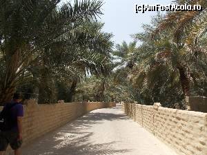 [P11] Al Ain, Oaza Al Ain, Alee umbroasa si racoroasa » foto by mprofeanu
 - 
<span class="allrVoted glyphicon glyphicon-heart hidden" id="av630782"></span>
<a class="m-l-10 hidden" id="sv630782" onclick="voting_Foto_DelVot(,630782,18644)" role="button">șterge vot <span class="glyphicon glyphicon-remove"></span></a>
<a id="v9630782" class=" c-red"  onclick="voting_Foto_SetVot(630782)" role="button"><span class="glyphicon glyphicon-heart-empty"></span> <b>LIKE</b> = Votează poza</a> <img class="hidden"  id="f630782W9" src="/imagini/loader.gif" border="0" /><span class="AjErrMes hidden" id="e630782ErM"></span>