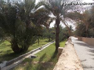 [P02] Al Ain, Oaza Hilli, Alee si falaje bine intretinute » foto by mprofeanu
 - 
<span class="allrVoted glyphicon glyphicon-heart hidden" id="av630773"></span>
<a class="m-l-10 hidden" id="sv630773" onclick="voting_Foto_DelVot(,630773,18644)" role="button">șterge vot <span class="glyphicon glyphicon-remove"></span></a>
<a id="v9630773" class=" c-red"  onclick="voting_Foto_SetVot(630773)" role="button"><span class="glyphicon glyphicon-heart-empty"></span> <b>LIKE</b> = Votează poza</a> <img class="hidden"  id="f630773W9" src="/imagini/loader.gif" border="0" /><span class="AjErrMes hidden" id="e630773ErM"></span>