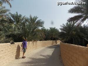 [P21] Al Ain, Oaza Hilli, Am fost acolo » foto by mprofeanu
 - 
<span class="allrVoted glyphicon glyphicon-heart hidden" id="av630792"></span>
<a class="m-l-10 hidden" id="sv630792" onclick="voting_Foto_DelVot(,630792,18644)" role="button">șterge vot <span class="glyphicon glyphicon-remove"></span></a>
<a id="v9630792" class=" c-red"  onclick="voting_Foto_SetVot(630792)" role="button"><span class="glyphicon glyphicon-heart-empty"></span> <b>LIKE</b> = Votează poza</a> <img class="hidden"  id="f630792W9" src="/imagini/loader.gif" border="0" /><span class="AjErrMes hidden" id="e630792ErM"></span>