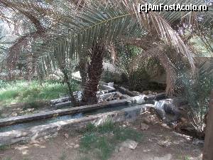 [P22] Al Ain, Oaza Hilli, Falaje » foto by mprofeanu
 - 
<span class="allrVoted glyphicon glyphicon-heart hidden" id="av630793"></span>
<a class="m-l-10 hidden" id="sv630793" onclick="voting_Foto_DelVot(,630793,18644)" role="button">șterge vot <span class="glyphicon glyphicon-remove"></span></a>
<a id="v9630793" class=" c-red"  onclick="voting_Foto_SetVot(630793)" role="button"><span class="glyphicon glyphicon-heart-empty"></span> <b>LIKE</b> = Votează poza</a> <img class="hidden"  id="f630793W9" src="/imagini/loader.gif" border="0" /><span class="AjErrMes hidden" id="e630793ErM"></span>