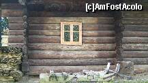 [P51]  -- <small>// FĂRĂ DESCRIERE</small> » foto by cristi82d
 - 
<span class="allrVoted glyphicon glyphicon-heart hidden" id="av143198"></span>
<a class="m-l-10 hidden" id="sv143198" onclick="voting_Foto_DelVot(,143198,18664)" role="button">șterge vot <span class="glyphicon glyphicon-remove"></span></a>
<a id="v9143198" class=" c-red"  onclick="voting_Foto_SetVot(143198)" role="button"><span class="glyphicon glyphicon-heart-empty"></span> <b>LIKE</b> = Votează poza</a> <img class="hidden"  id="f143198W9" src="/imagini/loader.gif" border="0" /><span class="AjErrMes hidden" id="e143198ErM"></span>