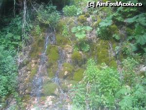 [P07] Drumul spre Bala, pe valea Cernei, pornind din Baile Herculane si trecand prin Baia de Arama (izvoare ce se preling prin mantaua de verdeata)  » foto by dorgo
 - 
<span class="allrVoted glyphicon glyphicon-heart hidden" id="av633432"></span>
<a class="m-l-10 hidden" id="sv633432" onclick="voting_Foto_DelVot(,633432,18702)" role="button">șterge vot <span class="glyphicon glyphicon-remove"></span></a>
<a id="v9633432" class=" c-red"  onclick="voting_Foto_SetVot(633432)" role="button"><span class="glyphicon glyphicon-heart-empty"></span> <b>LIKE</b> = Votează poza</a> <img class="hidden"  id="f633432W9" src="/imagini/loader.gif" border="0" /><span class="AjErrMes hidden" id="e633432ErM"></span>