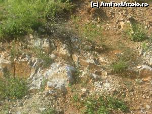[P08] Cu cat ma apropii de Baia de Arama, stancile capata culoarea aramei,  » foto by dorgo
 - 
<span class="allrVoted glyphicon glyphicon-heart hidden" id="av633433"></span>
<a class="m-l-10 hidden" id="sv633433" onclick="voting_Foto_DelVot(,633433,18702)" role="button">șterge vot <span class="glyphicon glyphicon-remove"></span></a>
<a id="v9633433" class=" c-red"  onclick="voting_Foto_SetVot(633433)" role="button"><span class="glyphicon glyphicon-heart-empty"></span> <b>LIKE</b> = Votează poza</a> <img class="hidden"  id="f633433W9" src="/imagini/loader.gif" border="0" /><span class="AjErrMes hidden" id="e633433ErM"></span>