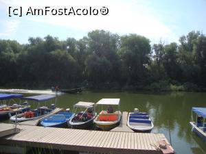 [P35] În zona debarcaderului din localitate există numeroși barcagii care oferă excursii pe canalele Deltei.  » foto by Floryn81
 - 
<span class="allrVoted glyphicon glyphicon-heart hidden" id="av811970"></span>
<a class="m-l-10 hidden" id="sv811970" onclick="voting_Foto_DelVot(,811970,18727)" role="button">șterge vot <span class="glyphicon glyphicon-remove"></span></a>
<a id="v9811970" class=" c-red"  onclick="voting_Foto_SetVot(811970)" role="button"><span class="glyphicon glyphicon-heart-empty"></span> <b>LIKE</b> = Votează poza</a> <img class="hidden"  id="f811970W9" src="/imagini/loader.gif" border="0" /><span class="AjErrMes hidden" id="e811970ErM"></span>