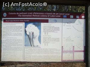[P38] Un panou informativ despre o colonie de pelicani creți - un motiv în plus pentru o plimbare în Deltă.  » foto by Floryn81
 - 
<span class="allrVoted glyphicon glyphicon-heart hidden" id="av811974"></span>
<a class="m-l-10 hidden" id="sv811974" onclick="voting_Foto_DelVot(,811974,18727)" role="button">șterge vot <span class="glyphicon glyphicon-remove"></span></a>
<a id="v9811974" class=" c-red"  onclick="voting_Foto_SetVot(811974)" role="button"><span class="glyphicon glyphicon-heart-empty"></span> <b>LIKE</b> = Votează poza</a> <img class="hidden"  id="f811974W9" src="/imagini/loader.gif" border="0" /><span class="AjErrMes hidden" id="e811974ErM"></span>