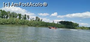 [P24] Excursie de 3 ore printre lacurile și pe canale din zona Murighiol. » foto by Aurici
 - 
<span class="allrVoted glyphicon glyphicon-heart hidden" id="av1239018"></span>
<a class="m-l-10 hidden" id="sv1239018" onclick="voting_Foto_DelVot(,1239018,18727)" role="button">șterge vot <span class="glyphicon glyphicon-remove"></span></a>
<a id="v91239018" class=" c-red"  onclick="voting_Foto_SetVot(1239018)" role="button"><span class="glyphicon glyphicon-heart-empty"></span> <b>LIKE</b> = Votează poza</a> <img class="hidden"  id="f1239018W9" src="/imagini/loader.gif" border="0" /><span class="AjErrMes hidden" id="e1239018ErM"></span>