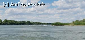 [P25] Excursie de 3 ore printre lacurile și pe canale din zona Murighiol. » foto by Aurici
 - 
<span class="allrVoted glyphicon glyphicon-heart hidden" id="av1239019"></span>
<a class="m-l-10 hidden" id="sv1239019" onclick="voting_Foto_DelVot(,1239019,18727)" role="button">șterge vot <span class="glyphicon glyphicon-remove"></span></a>
<a id="v91239019" class=" c-red"  onclick="voting_Foto_SetVot(1239019)" role="button"><span class="glyphicon glyphicon-heart-empty"></span> <b>LIKE</b> = Votează poza</a> <img class="hidden"  id="f1239019W9" src="/imagini/loader.gif" border="0" /><span class="AjErrMes hidden" id="e1239019ErM"></span>