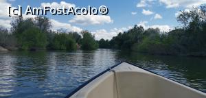 [P28] Excursie de 3 ore printre lacurile și pe canale din zona Murighiol. » foto by Aurici
 - 
<span class="allrVoted glyphicon glyphicon-heart hidden" id="av1239022"></span>
<a class="m-l-10 hidden" id="sv1239022" onclick="voting_Foto_DelVot(,1239022,18727)" role="button">șterge vot <span class="glyphicon glyphicon-remove"></span></a>
<a id="v91239022" class=" c-red"  onclick="voting_Foto_SetVot(1239022)" role="button"><span class="glyphicon glyphicon-heart-empty"></span> <b>LIKE</b> = Votează poza</a> <img class="hidden"  id="f1239022W9" src="/imagini/loader.gif" border="0" /><span class="AjErrMes hidden" id="e1239022ErM"></span>