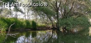 [P32] Excursie de 3 ore printre lacurile și pe canale din zona Murighiol. » foto by Aurici
 - 
<span class="allrVoted glyphicon glyphicon-heart hidden" id="av1239026"></span>
<a class="m-l-10 hidden" id="sv1239026" onclick="voting_Foto_DelVot(,1239026,18727)" role="button">șterge vot <span class="glyphicon glyphicon-remove"></span></a>
<a id="v91239026" class=" c-red"  onclick="voting_Foto_SetVot(1239026)" role="button"><span class="glyphicon glyphicon-heart-empty"></span> <b>LIKE</b> = Votează poza</a> <img class="hidden"  id="f1239026W9" src="/imagini/loader.gif" border="0" /><span class="AjErrMes hidden" id="e1239026ErM"></span>