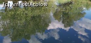 [P35] Excursia de o zi, spre Caraorman. » foto by Aurici
 - 
<span class="allrVoted glyphicon glyphicon-heart hidden" id="av1239029"></span>
<a class="m-l-10 hidden" id="sv1239029" onclick="voting_Foto_DelVot(,1239029,18727)" role="button">șterge vot <span class="glyphicon glyphicon-remove"></span></a>
<a id="v91239029" class=" c-red"  onclick="voting_Foto_SetVot(1239029)" role="button"><span class="glyphicon glyphicon-heart-empty"></span> <b>LIKE</b> = Votează poza</a> <img class="hidden"  id="f1239029W9" src="/imagini/loader.gif" border="0" /><span class="AjErrMes hidden" id="e1239029ErM"></span>