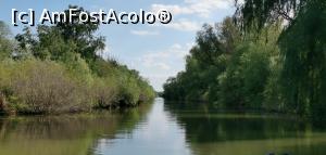 [P37] Excursia de o zi, spre Caraorman. » foto by Aurici
 - 
<span class="allrVoted glyphicon glyphicon-heart hidden" id="av1239031"></span>
<a class="m-l-10 hidden" id="sv1239031" onclick="voting_Foto_DelVot(,1239031,18727)" role="button">șterge vot <span class="glyphicon glyphicon-remove"></span></a>
<a id="v91239031" class=" c-red"  onclick="voting_Foto_SetVot(1239031)" role="button"><span class="glyphicon glyphicon-heart-empty"></span> <b>LIKE</b> = Votează poza</a> <img class="hidden"  id="f1239031W9" src="/imagini/loader.gif" border="0" /><span class="AjErrMes hidden" id="e1239031ErM"></span>