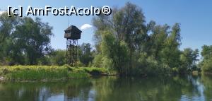 [P39] Excursia de o zi, spre Caraorman. » foto by Aurici
 - 
<span class="allrVoted glyphicon glyphicon-heart hidden" id="av1239033"></span>
<a class="m-l-10 hidden" id="sv1239033" onclick="voting_Foto_DelVot(,1239033,18727)" role="button">șterge vot <span class="glyphicon glyphicon-remove"></span></a>
<a id="v91239033" class=" c-red"  onclick="voting_Foto_SetVot(1239033)" role="button"><span class="glyphicon glyphicon-heart-empty"></span> <b>LIKE</b> = Votează poza</a> <img class="hidden"  id="f1239033W9" src="/imagini/loader.gif" border="0" /><span class="AjErrMes hidden" id="e1239033ErM"></span>