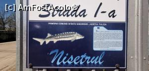 [P58] Străzile cu nume de pești din Sfântu Gheorghe. » foto by Aurici
 - 
<span class="allrVoted glyphicon glyphicon-heart hidden" id="av1239052"></span>
<a class="m-l-10 hidden" id="sv1239052" onclick="voting_Foto_DelVot(,1239052,18727)" role="button">șterge vot <span class="glyphicon glyphicon-remove"></span></a>
<a id="v91239052" class=" c-red"  onclick="voting_Foto_SetVot(1239052)" role="button"><span class="glyphicon glyphicon-heart-empty"></span> <b>LIKE</b> = Votează poza</a> <img class="hidden"  id="f1239052W9" src="/imagini/loader.gif" border="0" /><span class="AjErrMes hidden" id="e1239052ErM"></span>