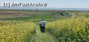 [P74] Înapoi spre mașini, pe o potecă mai de Doamne-ajută. » foto by Aurici
 - 
<span class="allrVoted glyphicon glyphicon-heart hidden" id="av1239068"></span>
<a class="m-l-10 hidden" id="sv1239068" onclick="voting_Foto_DelVot(,1239068,18727)" role="button">șterge vot <span class="glyphicon glyphicon-remove"></span></a>
<a id="v91239068" class=" c-red"  onclick="voting_Foto_SetVot(1239068)" role="button"><span class="glyphicon glyphicon-heart-empty"></span> <b>LIKE</b> = Votează poza</a> <img class="hidden"  id="f1239068W9" src="/imagini/loader.gif" border="0" /><span class="AjErrMes hidden" id="e1239068ErM"></span>