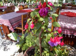 [P21] Taverna Georgios » foto by elviramvio
 - 
<span class="allrVoted glyphicon glyphicon-heart hidden" id="av819447"></span>
<a class="m-l-10 hidden" id="sv819447" onclick="voting_Foto_DelVot(,819447,18745)" role="button">șterge vot <span class="glyphicon glyphicon-remove"></span></a>
<a id="v9819447" class=" c-red"  onclick="voting_Foto_SetVot(819447)" role="button"><span class="glyphicon glyphicon-heart-empty"></span> <b>LIKE</b> = Votează poza</a> <img class="hidden"  id="f819447W9" src="/imagini/loader.gif" border="0" /><span class="AjErrMes hidden" id="e819447ErM"></span>