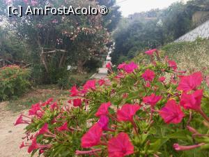 [P26] Drumul care duce de la plaja la vila. Eu facand poza, stateam cu picioarele pe nisip :) Sunt o gramada de tufe cu flori care se deschid noaptea si miros minunat! » foto by Astor
 - 
<span class="allrVoted glyphicon glyphicon-heart hidden" id="av1414383"></span>
<a class="m-l-10 hidden" id="sv1414383" onclick="voting_Foto_DelVot(,1414383,18777)" role="button">șterge vot <span class="glyphicon glyphicon-remove"></span></a>
<a id="v91414383" class=" c-red"  onclick="voting_Foto_SetVot(1414383)" role="button"><span class="glyphicon glyphicon-heart-empty"></span> <b>LIKE</b> = Votează poza</a> <img class="hidden"  id="f1414383W9" src="/imagini/loader.gif" border="0" /><span class="AjErrMes hidden" id="e1414383ErM"></span>