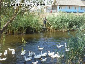 [P23] Schitul Sf. Cuv. Atanasie - Stipoc. Un monah la lucru.  » foto by iulianic
 - 
<span class="allrVoted glyphicon glyphicon-heart hidden" id="av1107868"></span>
<a class="m-l-10 hidden" id="sv1107868" onclick="voting_Foto_DelVot(,1107868,18801)" role="button">șterge vot <span class="glyphicon glyphicon-remove"></span></a>
<a id="v91107868" class=" c-red"  onclick="voting_Foto_SetVot(1107868)" role="button"><span class="glyphicon glyphicon-heart-empty"></span> <b>LIKE</b> = Votează poza</a> <img class="hidden"  id="f1107868W9" src="/imagini/loader.gif" border="0" /><span class="AjErrMes hidden" id="e1107868ErM"></span>